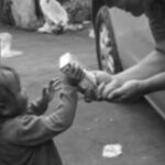 20 Tahun Humanity First Indonesia dalam Data